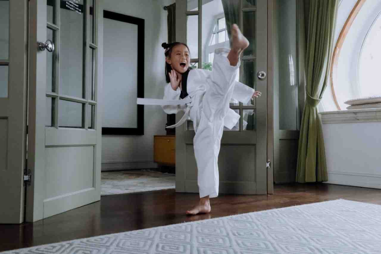 karate vs taekwondo