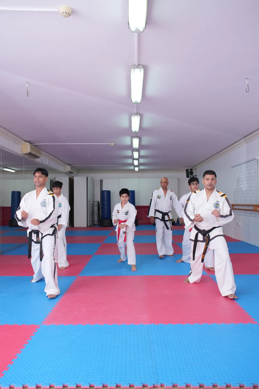 The taekwondo class together