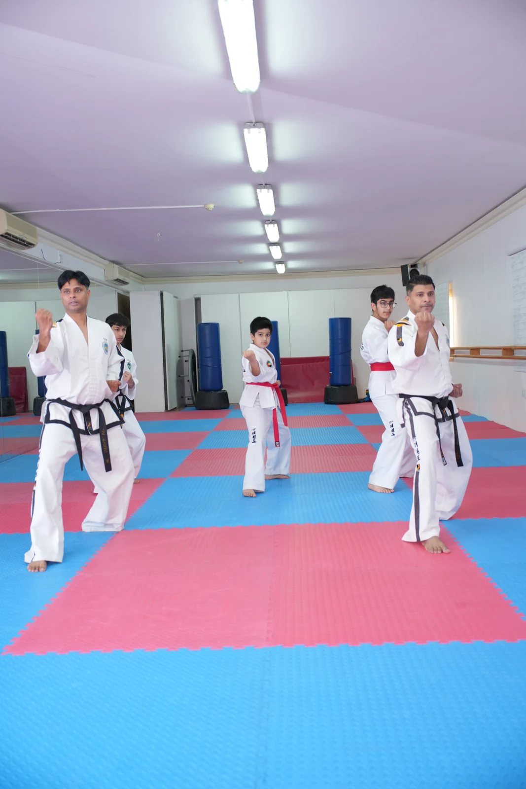 The adult taekwondo class