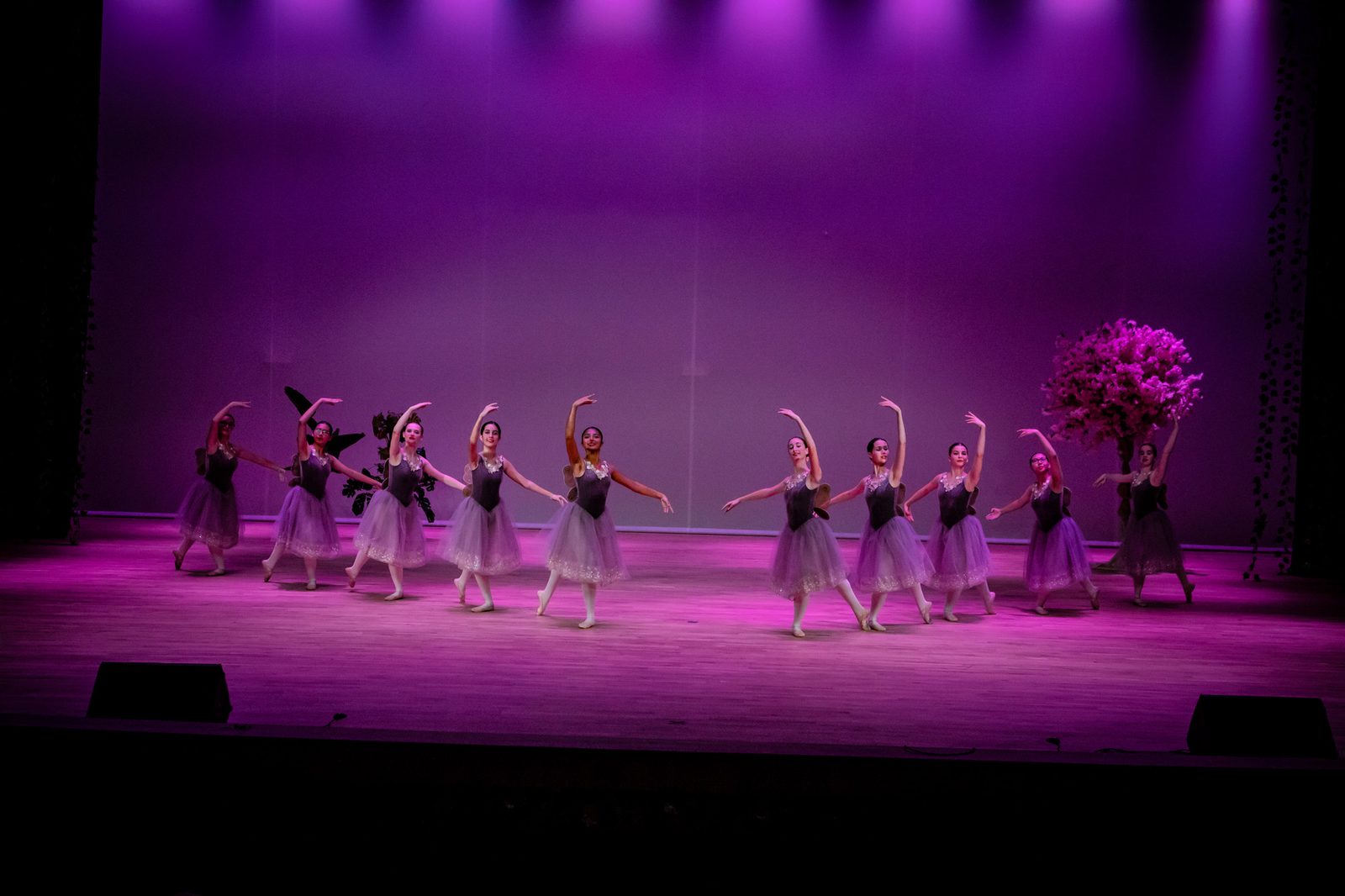 Peter Pan, photograph 17