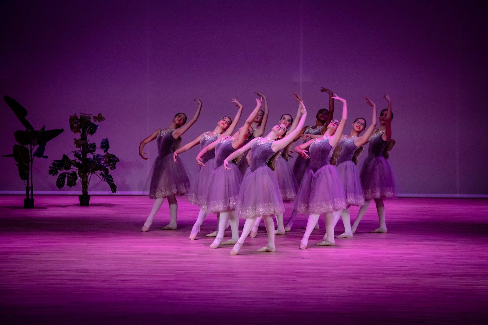 Peter Pan, photograph 18