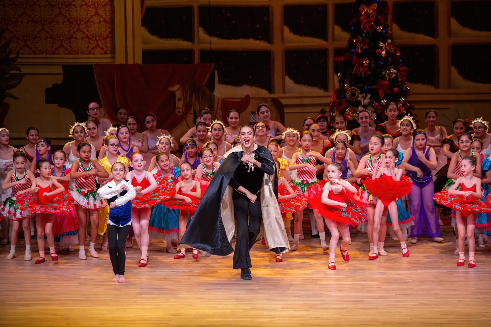 The Nutcracker, photograph 18