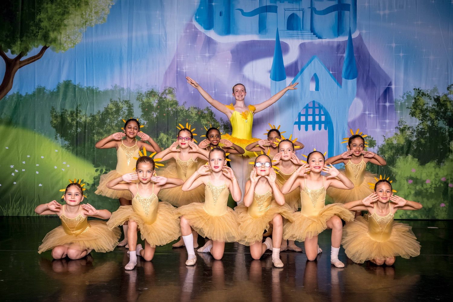 The Sleeping Beauty, photograph 14