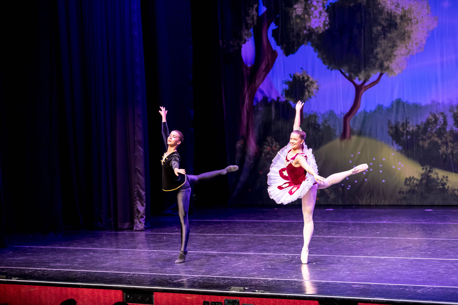 The Sleeping Beauty, photograph 9