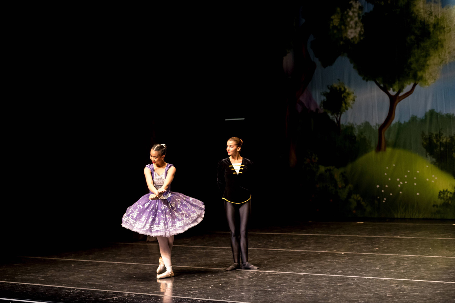 The Sleeping Beauty, photograph 8