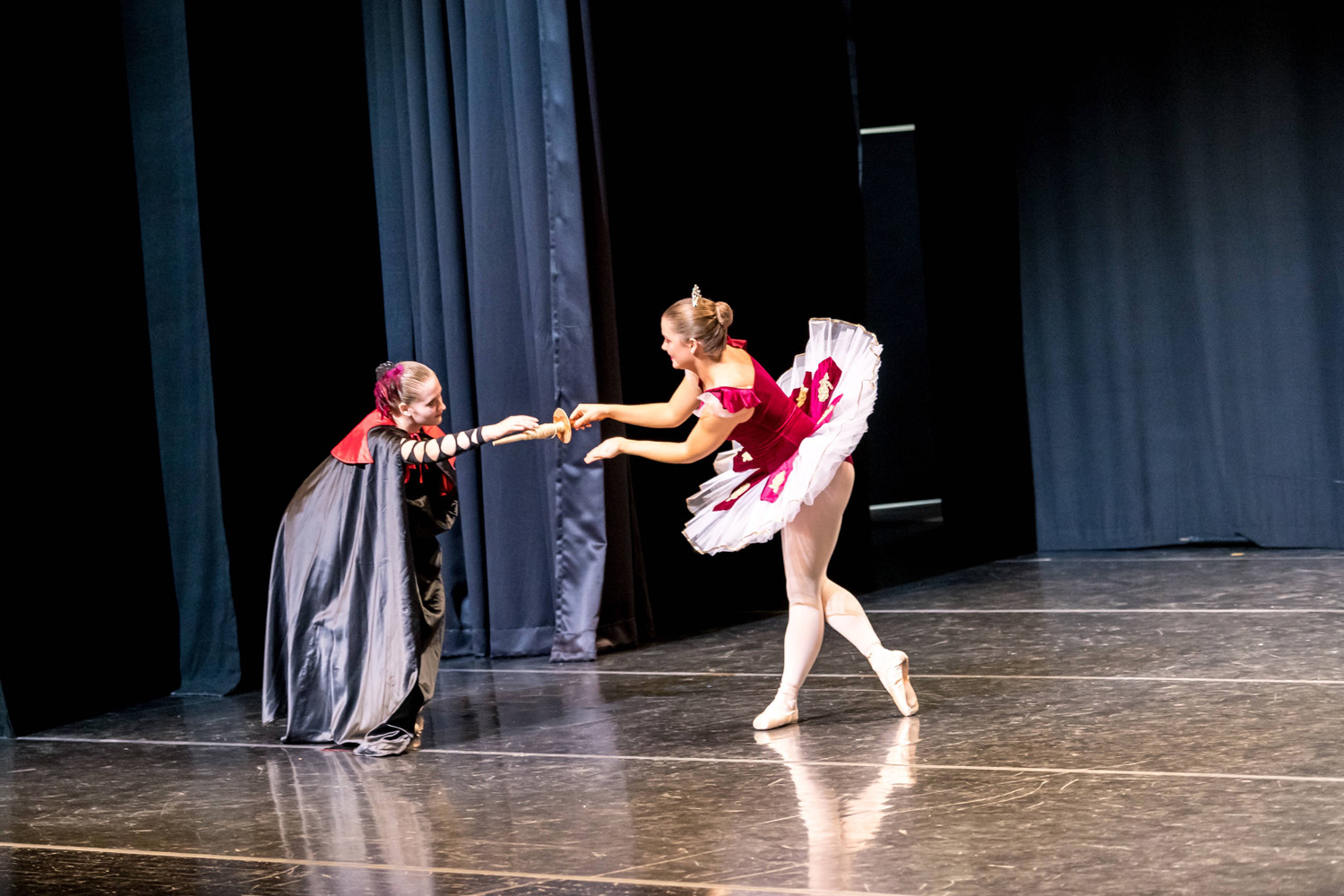 The Sleeping Beauty, photograph 7