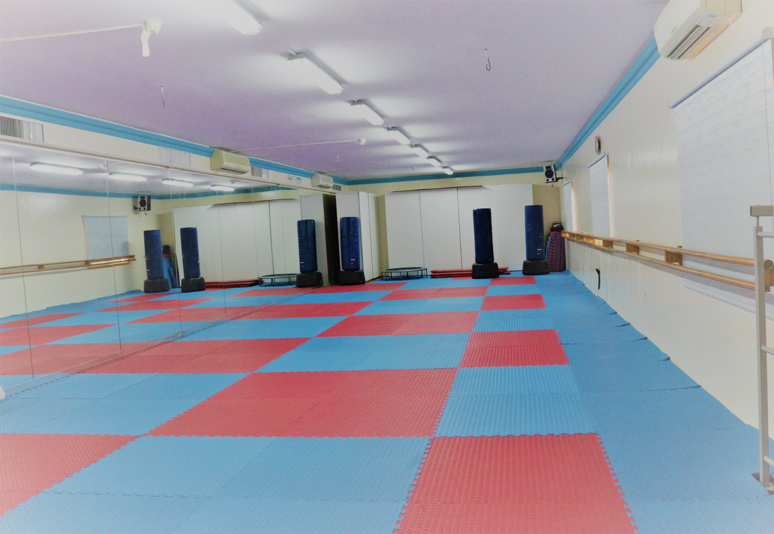 The second studio at the centre, laid with matting and fitted with barres along the wall